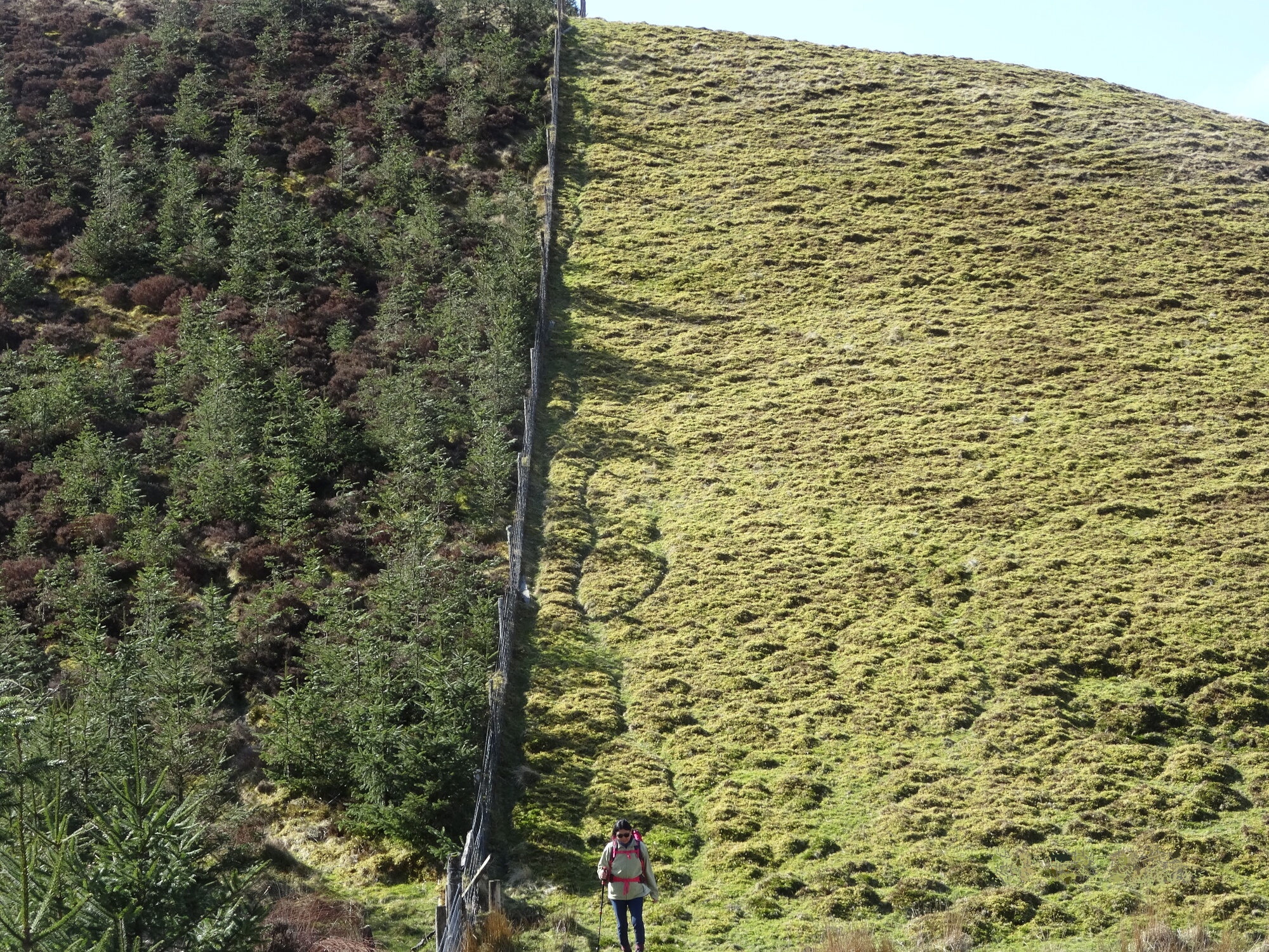 RachelSeabrook.net | Wild Walking | Ponterwyd and Pen Dihewyd | pic26
